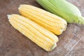 Full-grained tender corn on the cob