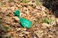 Full green plastic dog poop bag sits on fall leaves