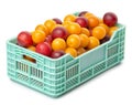 Full grocery box with cherry-plum isolated on white background,