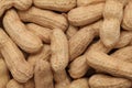 Full groundnuts. Background Royalty Free Stock Photo