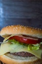 Full hamburguer on rustic background