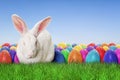 Full Happy Easter Royalty Free Stock Photo