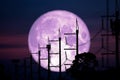 Full Harvest Moon back on silhouette power electric line and pole on night sky Royalty Free Stock Photo