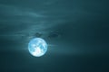 full harvest moon on dark sky back cloud over space Royalty Free Stock Photo