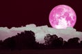 full hay moon on night sky back over silhouette forest Royalty Free Stock Photo