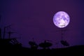 Full Hay moon planet back silhouette Satellite dishes on roof Royalty Free Stock Photo