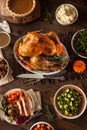 Full Homemade Thanksgiving Dinner Royalty Free Stock Photo