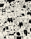 Full house of cats. Many different cats in the vector. The characters of the cats. Pets. Affectionate cat. Pet shop