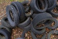 Full hull trunk Truckload of old used vintage car tyres wheels heap pile waste with some leaf