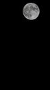 Full Hunters Moon Negative Space Royalty Free Stock Photo