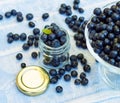 Full jar of fresh blueberries berrywith green leaf on top Royalty Free Stock Photo