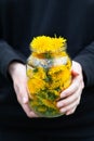 A full jar of organic dandelion wild flowers for jam or healthy cooking