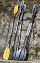 Full kayak oars Royalty Free Stock Photo