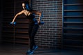 Full lengh image of athletic young woman trains her shoulders using dumbbells in the gym.