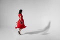 Full lengt image of a brunette young woman in red dress holding a bouquet of tulips and spins, isolated grey background. Royalty Free Stock Photo