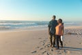 Full length of african american senior couple walking at beach against sky with copy space Royalty Free Stock Photo