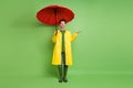 Full length body size view of attractive cheerful guy wearing raincoat checking rain drop isolated over bright green