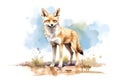 Full length cute coyote in watercolor illustration