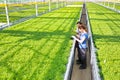 Full length of female botanists examining herbs while standing in aisle at plant nursery