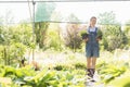 Full-length of gardener looking away while holding potted plants at greenhouse