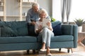 Happy mature grey-haired woman shopping online with husband. Royalty Free Stock Photo