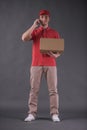 Handsome delivery man Royalty Free Stock Photo