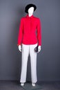 Full length mannequin in classy attire. Royalty Free Stock Photo