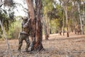 A full-length military man hid behind a tree and makes reconnaissance.