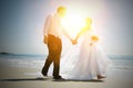 Full length of newlywed couple holding hands while walking on beach Royalty Free Stock Photo