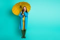 Full length photo of attractive shocked lady good mood rainy weather walk street puddles hold big umbrella open mouth Royalty Free Stock Photo