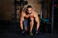 A handsome man doing biceps or triceps lifting with dumbbells on a gym background. Power, sports concept. Copy space. Royalty Free Stock Photo