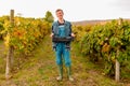 Full-length photo of a farmer young man standing among the vineyard rows and holding in his hands a plastic box full of Royalty Free Stock Photo