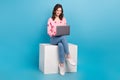 Full length photo of lovely lady sit white cube work laptop dressed stylish pink strawberry print garment isolated on