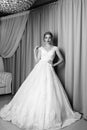 Full length portrait of beauty bride in white dress. Classic sty Royalty Free Stock Photo