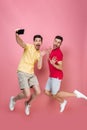 Full length portrait of a happy gay couple Royalty Free Stock Photo