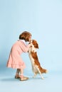 Full-length portrait of little girl, child in cute pink dress kissing, playing with lovely dog against blue studio Royalty Free Stock Photo