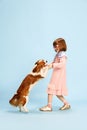 Full-length portrait of little girl, child in cute pink dress playing, dancing with lovely dog against blue studio Royalty Free Stock Photo