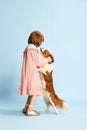 Full-length portrait of little girl, child in cute pink dress playing with lovely dog against blue studio background Royalty Free Stock Photo