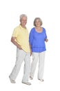 Full length portrait of senior couple holding hands isolated Royalty Free Stock Photo