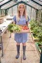 Full Length Portrait Of Woman Holding Box Of Home Grown Vegetables In Greenhouse Royalty Free Stock Photo