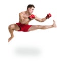 Full length portrait of young male boxer showing some movements against isolated white background Royalty Free Stock Photo