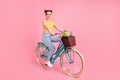 Full length profile photo of adorable girl sit on bicycle flowers in basket isolated on pink color background