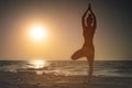 Full length rear view of a silhouette of a woman standing on one leg while practicing tree pose in yoga on a tranquil Royalty Free Stock Photo