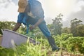 Its harvest time again. Full length shot of a male farm worker tending to the crops.