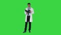 Doctor reading Medical Report of Patient or Recepie or Text book on a Green Screen, Chroma Key.