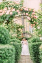 Full-length view of the cheerful newlyweds spending time in the lovely rose garden. Royalty Free Stock Photo