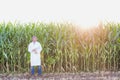 Crop scientist wearing lab coat while standing against corn plant growing in field Royalty Free Stock Photo