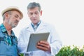 Full length view of crop scientist wearing lab coat while using digital tablet against corn plant growing in field Royalty Free Stock Photo