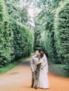 The full-length view of the kissing newlyweds and walking through the high bushes. Royalty Free Stock Photo