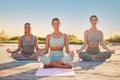 Full length yoga women meditating with legs crossed for outdoor practice in remote nature. Diverse group of mindful